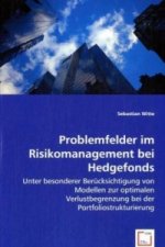 Problemfelder im Risikomanagement bei Hedgefonds