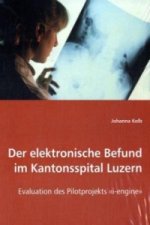Der elektronische Befund im Kantonsspital Luzern
