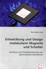 Entwicklung und Design molekularer Magnete und Schalter