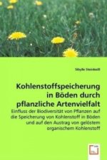 Kohlenstoffspeicherung in Böden durch pflanzliche Artenvielfalt