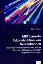 MRT basierte Rekonstruktion von Nervenbahnen