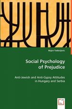 Social Psychology of Prejudice
