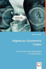 Algebraic-Geometric Codes