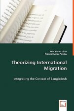 Theorizing International Migration