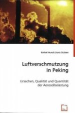 Luftverschmutzung in Peking