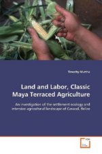 Land and Labor, Classic Maya Terraced Agriculture