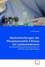 Wechselwirkungen der Phosphoinositid-3-Kinase mit Lipidmembranen
