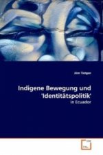 Indigene Bewegung und 'Identitätspolitik'