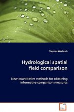 Hydrological spatial field comparison