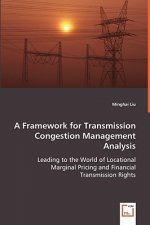 Framework for Transmission Congestion Management Analysis