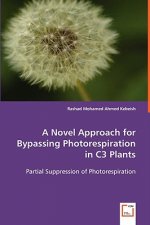 Novel Approach for Bypassing Photorespiration in C3 Plants