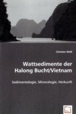 Wattsedimente der Halong Bucht/Vietnam