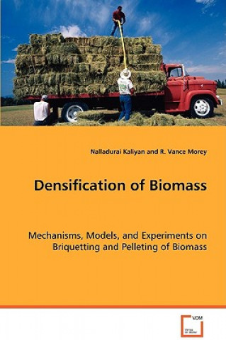 Densification of Biomass (Nalladurai Kaliyan)(Puha kötésű)