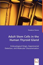Adult Stem Cells in the Human Thyroid Gland - Embryological Origin, Experimental Detection, and Molecular Characterisation