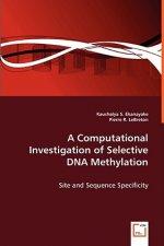 Computational Investigation of Selective DNA Methylation