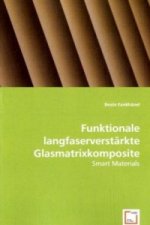 Funktionale langfaserverstärkte Glasmatrixkomposite