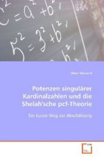 Potenzen singulärer Kardinalzahlen und dieShelah'sche pcf-Theorie