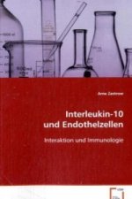 Interleukin-10 und Endothelzellen