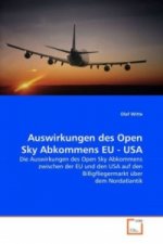 Auswirkungen des Open Sky Abkommens EU - USA