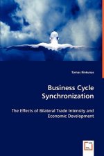 Business Cycle Synchronization - The Effects of Bilateral Trade Intensity and Economic Development