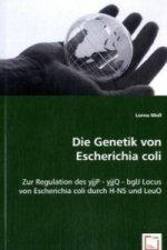 Die Genetik von Escherichia coli