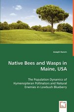 Native Bees and Wasps in Maine, USA