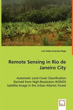 Remote Sensing in Rio de Janeiro City