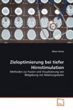 Zieloptimierung bei tiefer Hirnstimulation