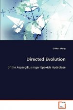 Directed Evolution of the Aspergillus niger Epoxide Hydrolase