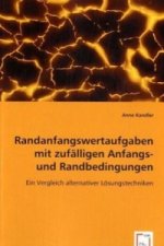 Randanfangswertaufgaben mit zufälligen Anfangs- und Randbedingungen