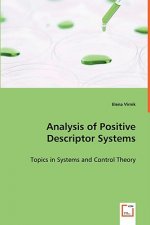 Analysis of Positive Descriptor Systems