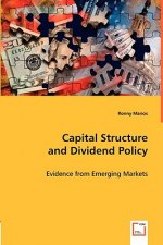 Capital Structure and Dividend Policy