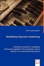 Modelling Induction Hardening