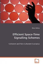 Efficient Space-Time Signalling Schemes