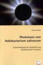 Phototaxis von Halobacterium salinarum