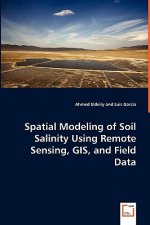 Spatial Modeling of Soil Salinity Using Remote Sensing, GIS, and Field Data