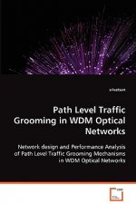 Path Level Traffic Grooming in WDM Optical Networks