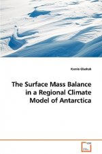 Surface Mass Balance in a Regional Climate Model of Antarctica
