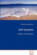 Soft Systems