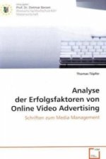 Analyse der Erfolgsfaktoren von Online Video Advertising