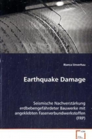 Earthquake Damage