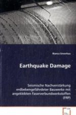 Earthquake Damage