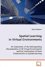 Spatial Learning in Virtual Environments