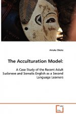 Acculturation Model