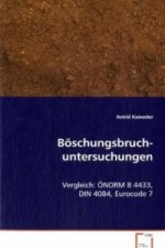 Böschungsbruch-untersuchungen