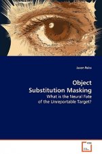 Object Substitution Masking