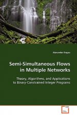 Semi-Simultaneous Flows in Multiple Networks