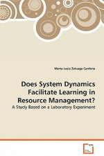 Does System Dynamics Facilitate Learning in Resource Management