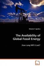 Availability of Global Fossil Energy