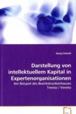 Darstellung von intellektuellem Kapital in Expertenorganisationen